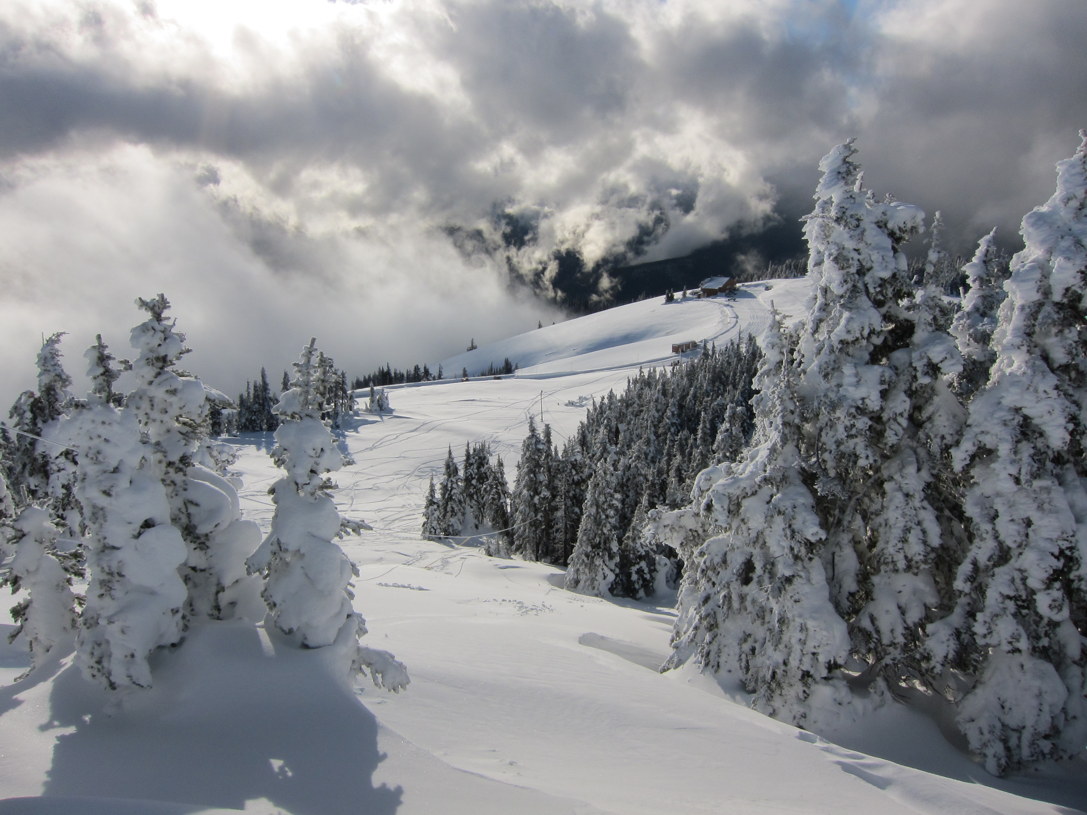 Fresh snow atop the Olympic Mountains.