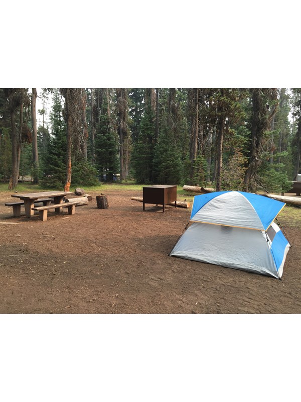 blue and white tent next to a picnic table at a campsite