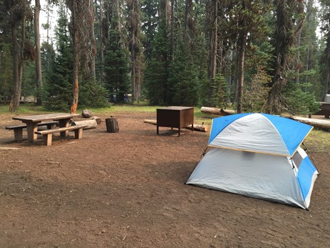 A blue and white tent beside a picnic table at a campsite