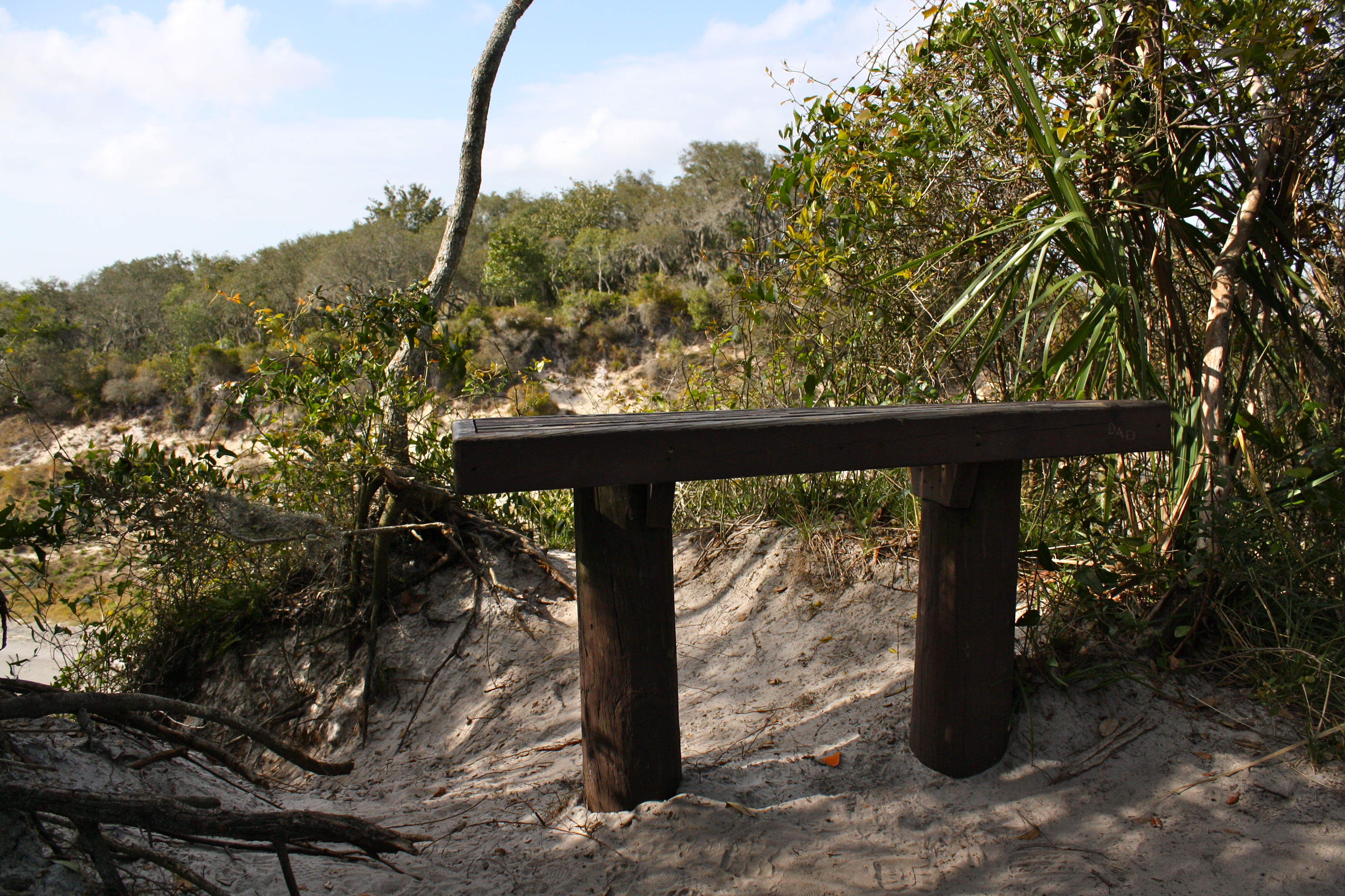 park bench alongside a trail