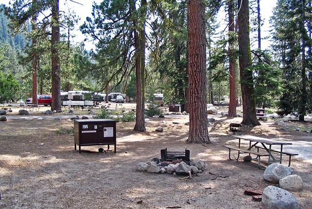 A campsite with a picnic table, fire ring and food-storage box