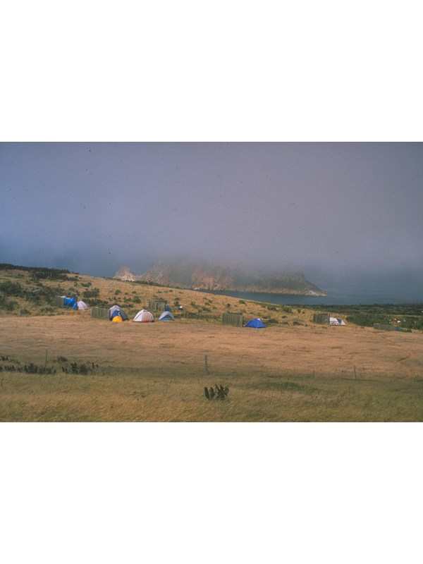 Camping tents in grassland overlooking a foggy ocean.