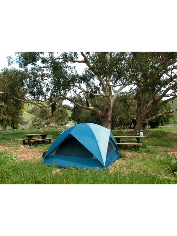 Blue camping tent in green grass with picnic table and tall trees