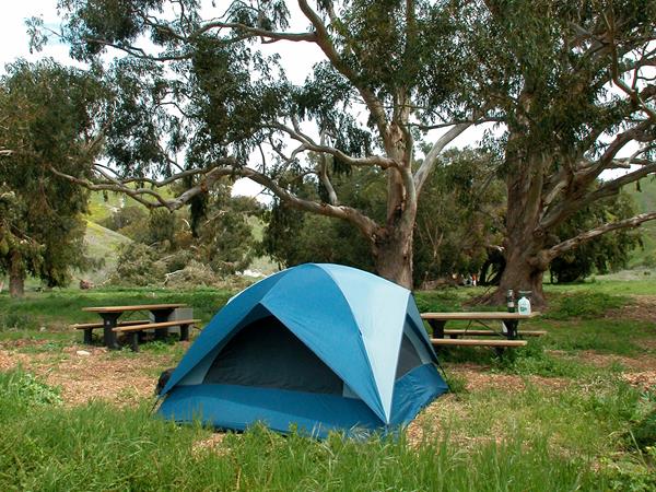 Blue camping tent in green grass with picnic table and tall trees