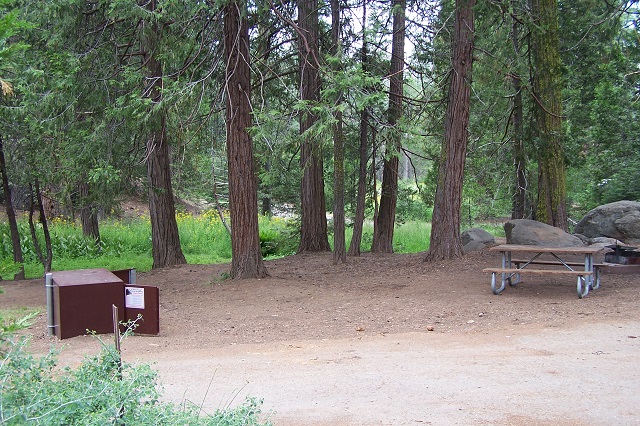 A picnic table and metal food-storage box next to a small meadow and trees