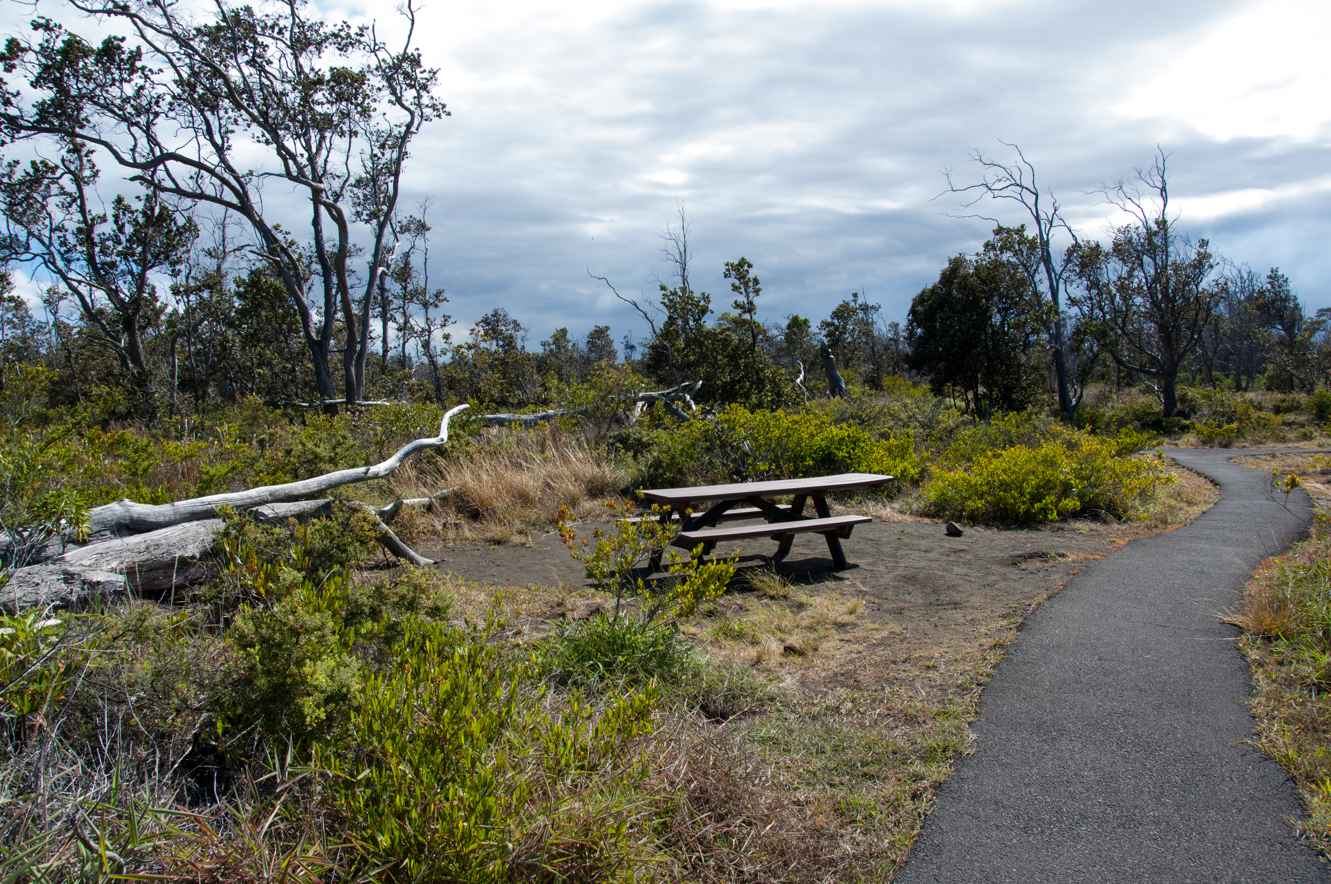 Primitive campsite