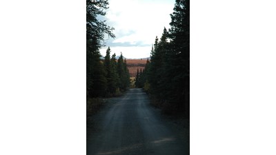 dirt road in a forest with hills in the distance