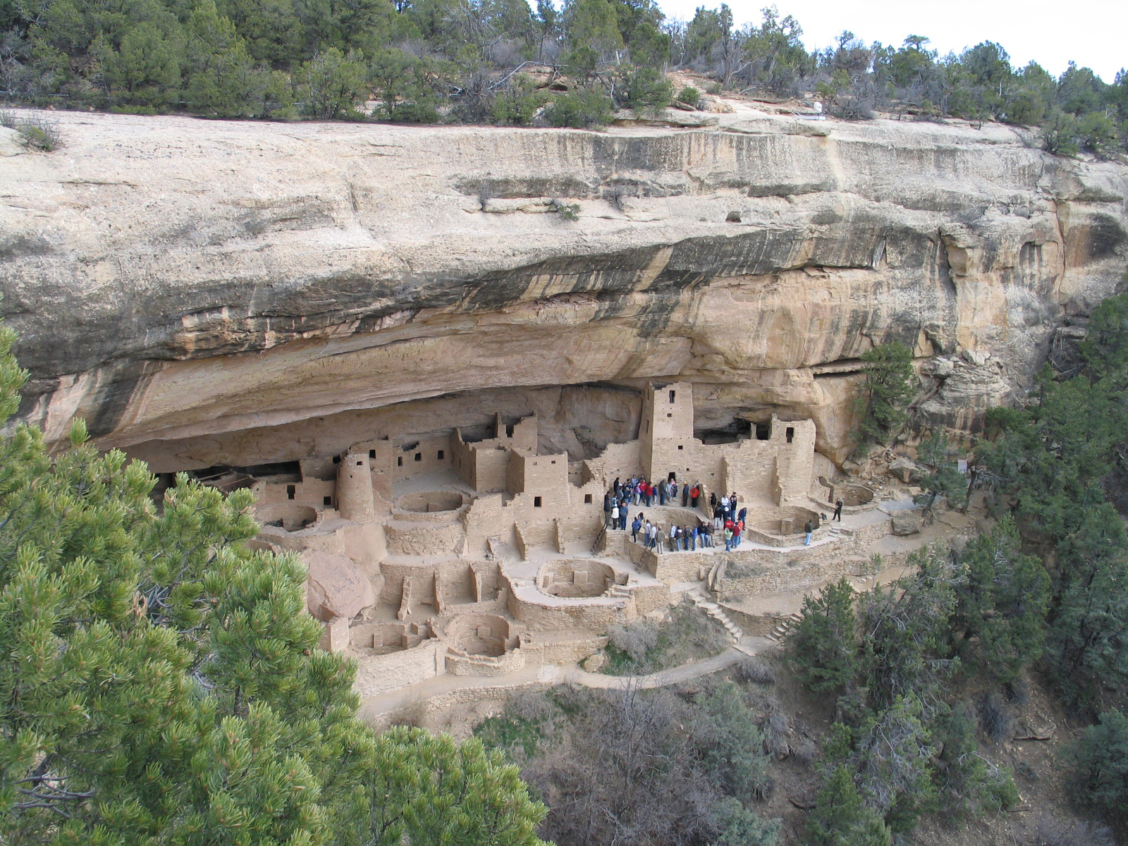 Large cliff dwelling in cliff alcove