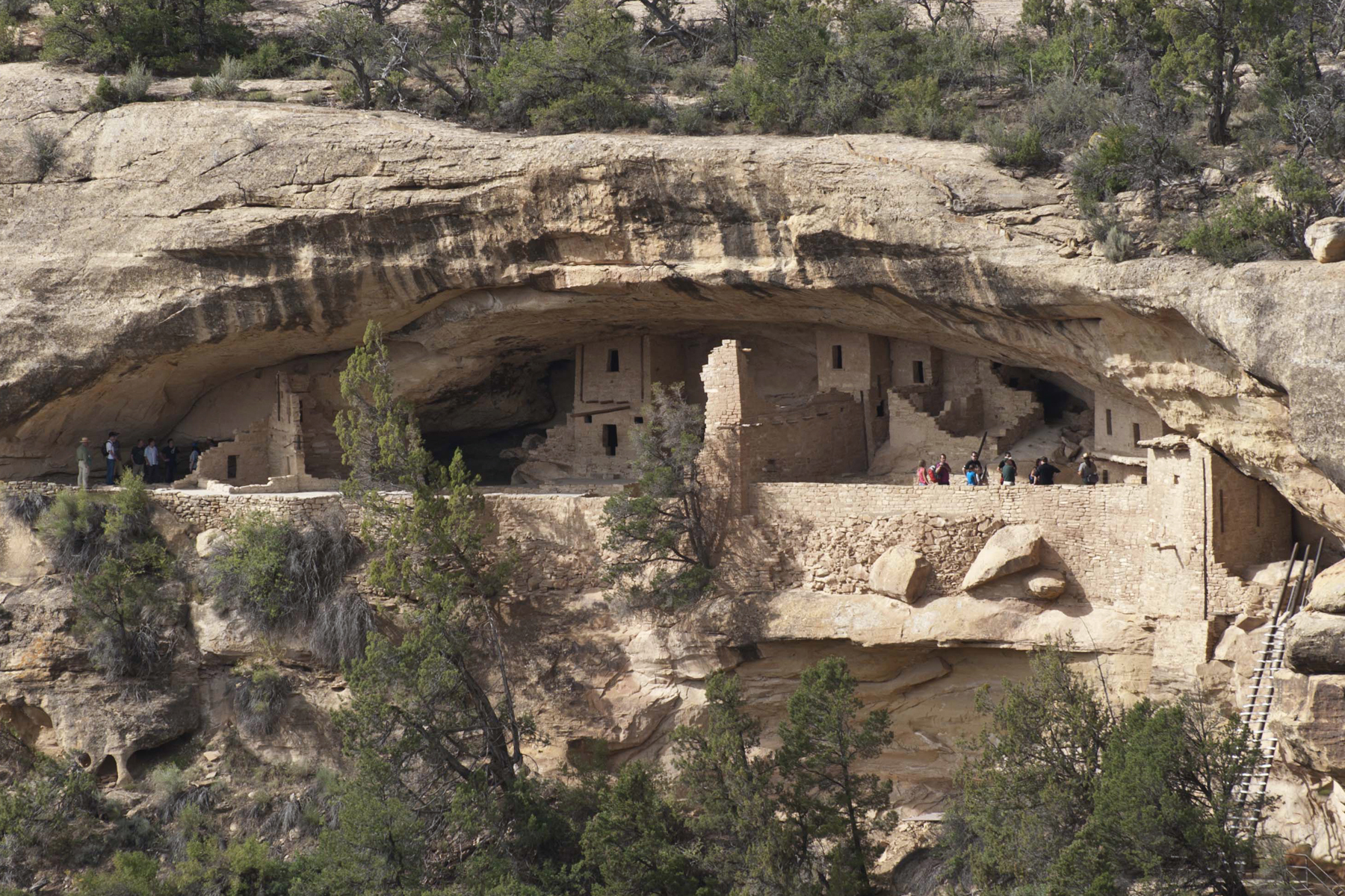 A cliff dwelling within a cliff alcove seen from across a canyon