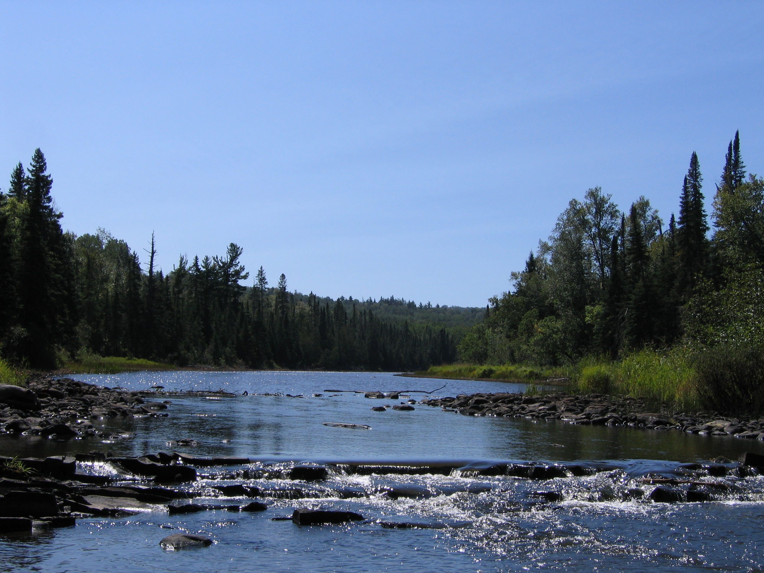 River flowing over rocks in a background of trees.