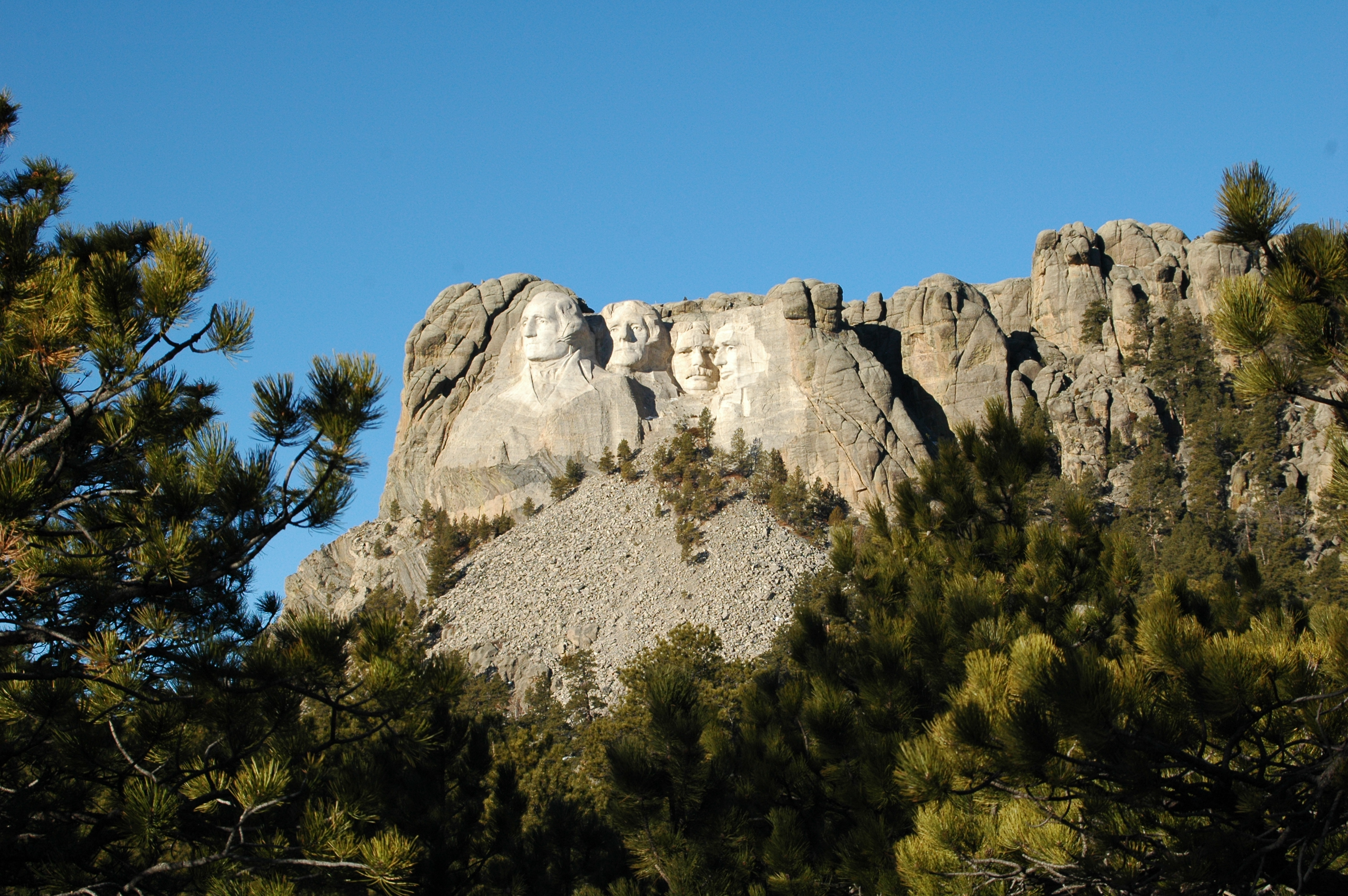 Mount Rushmore viewed from a distance through ponderosa pine trees.