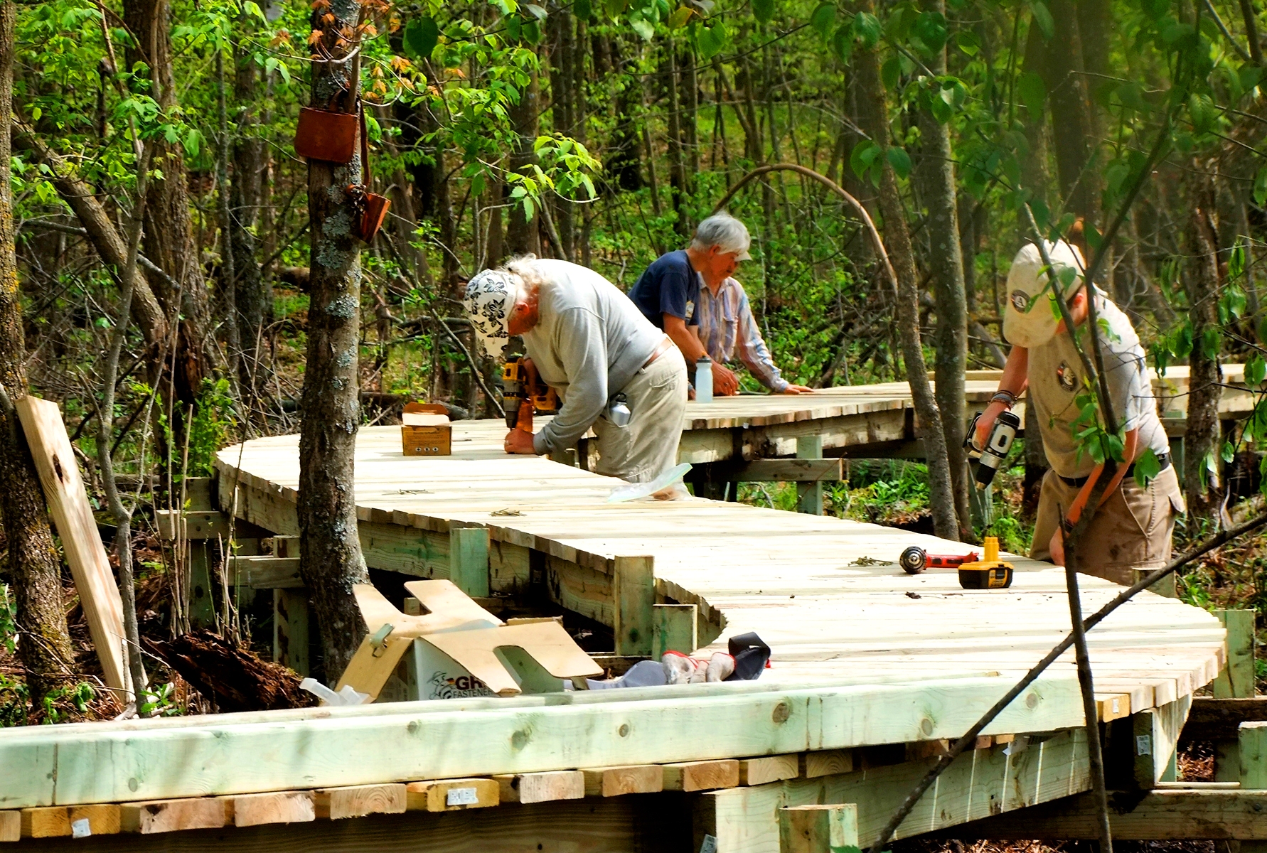 volunteers build a boardwalk