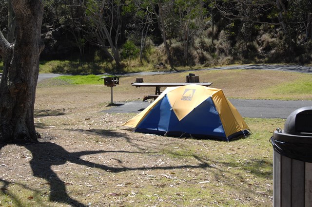 Tent camping among trees at Nāmakanipaio Campground