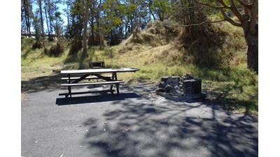 Campsite with picnic table and firepit