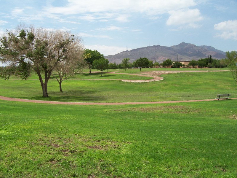 Trails walking trails cross a field of green grass with mountain in the background