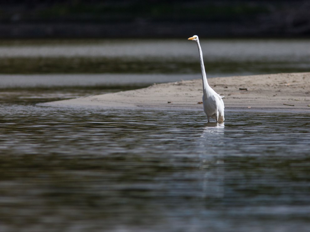 Mississippi National River and Recreation Area