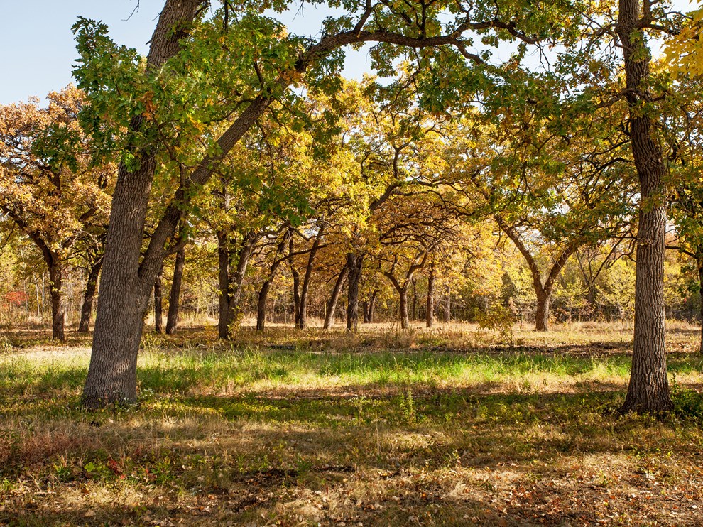 Mississippi National River and Recreation Area