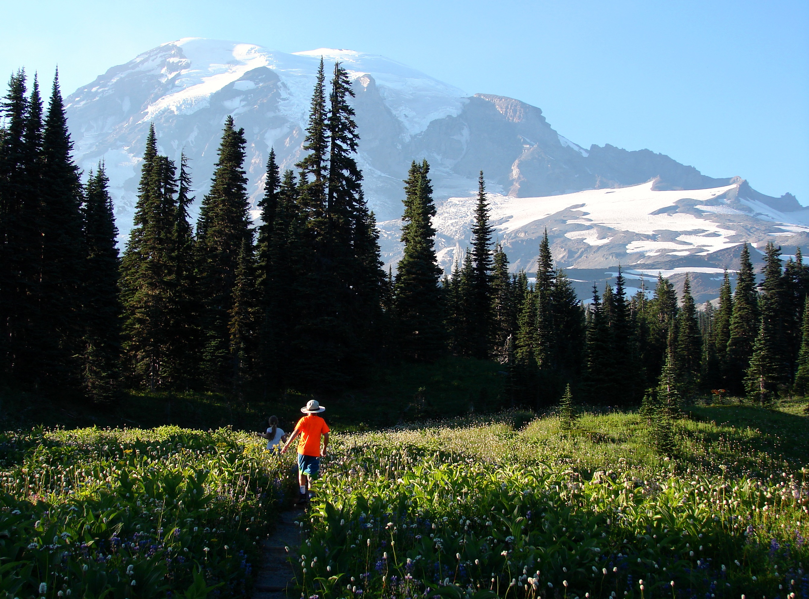 Two children hike on trail through wildflower meadow with Mount Rainier above them.