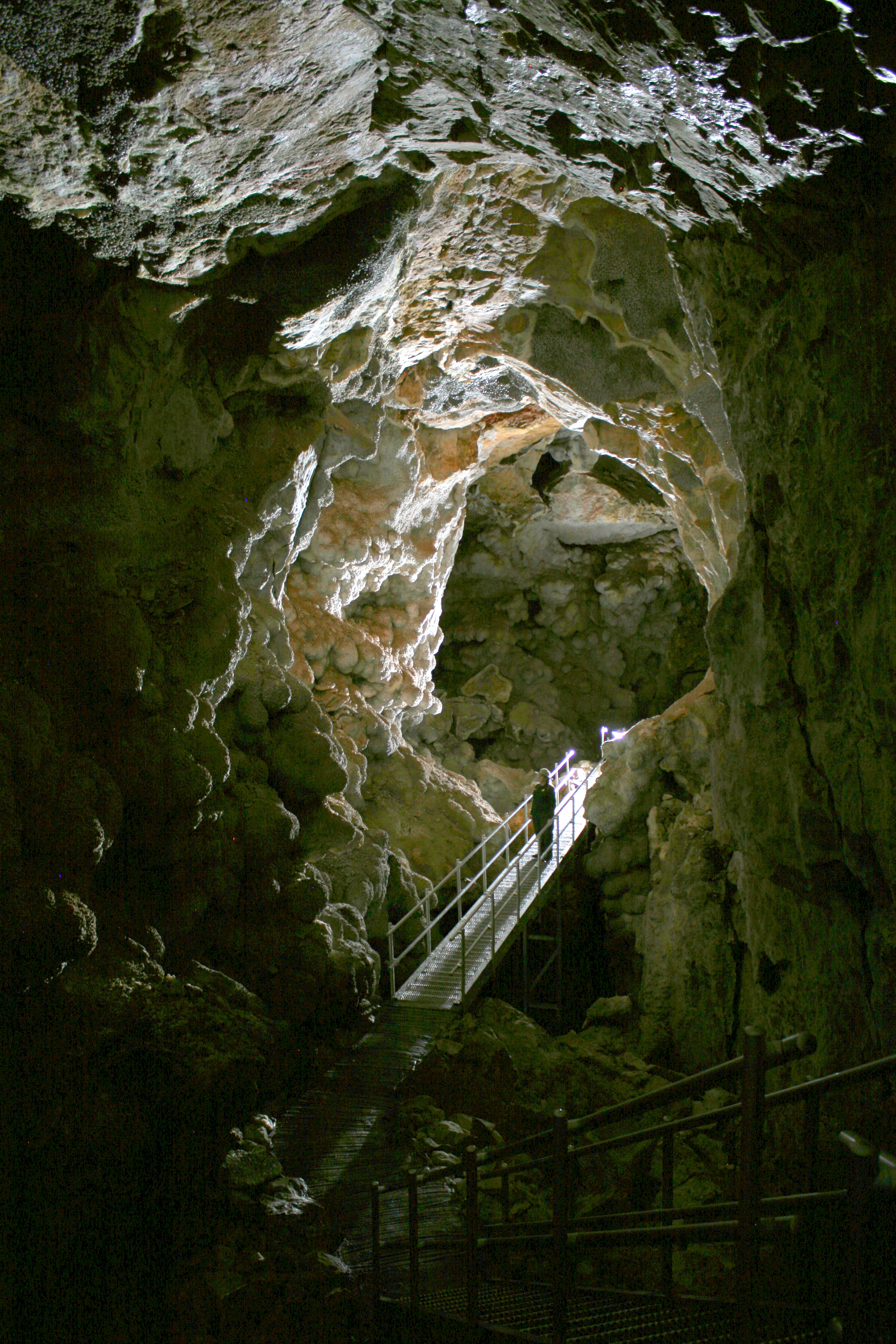 A park ranger is standing on a metal platform within a long passageway with a vaulted ceiling.