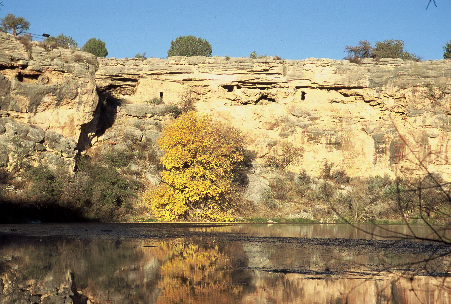 Two cliff dwellings and a tree with yellow leaves above a pond.