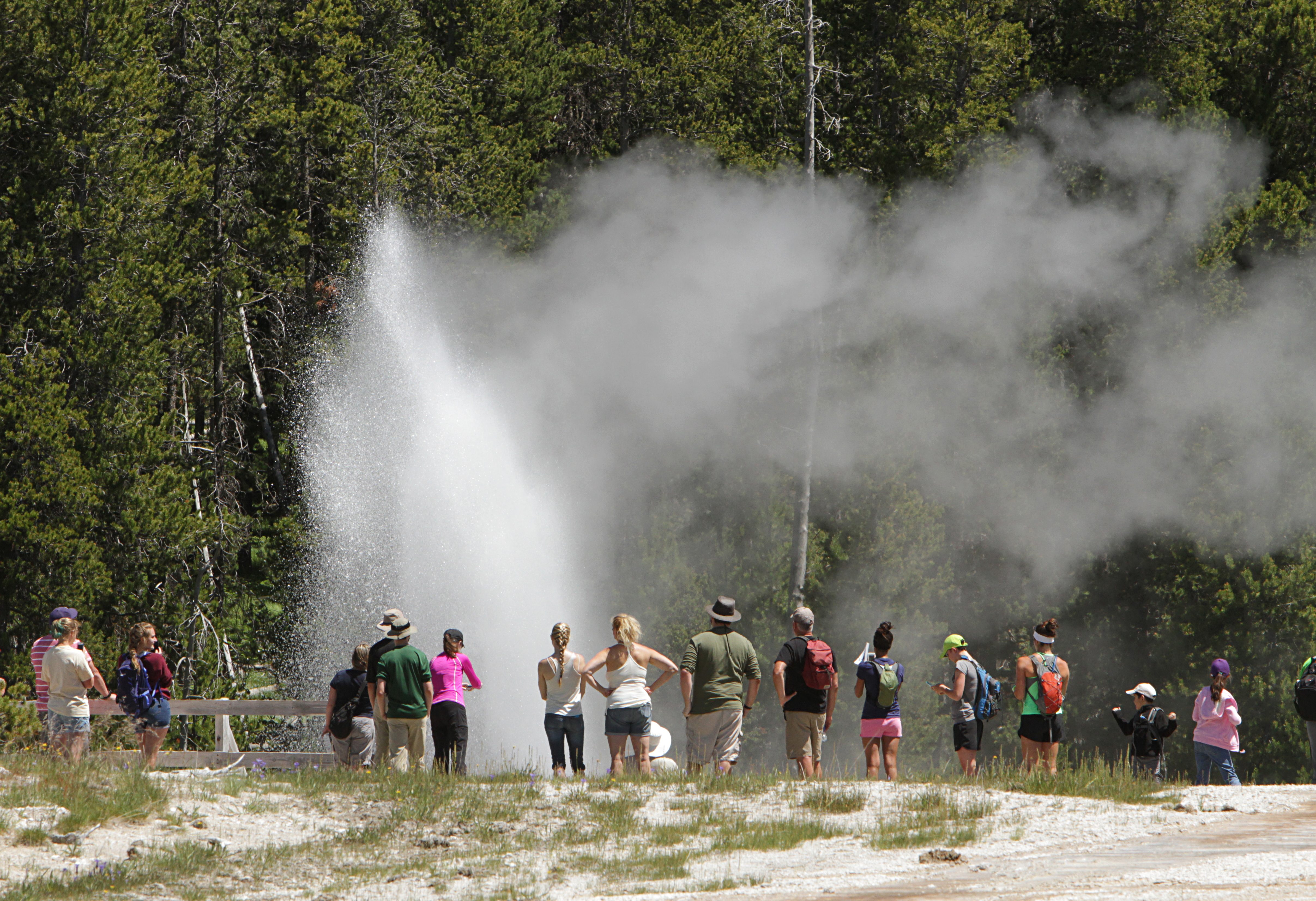 A crowd of people standing along a wooden boardwalk watches a geyser erupt.