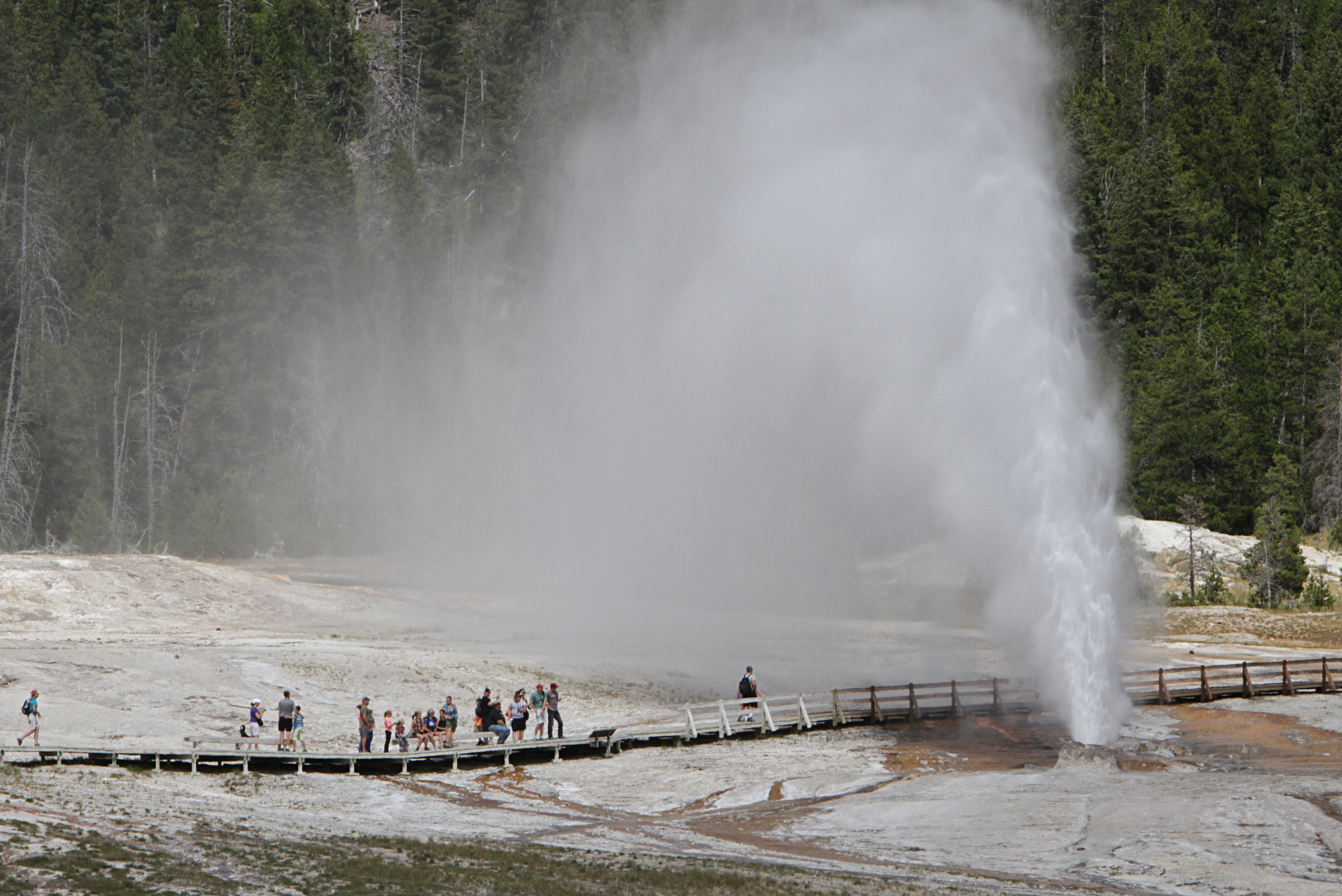 People on a wooden boardwalk watch a geyser erupt.