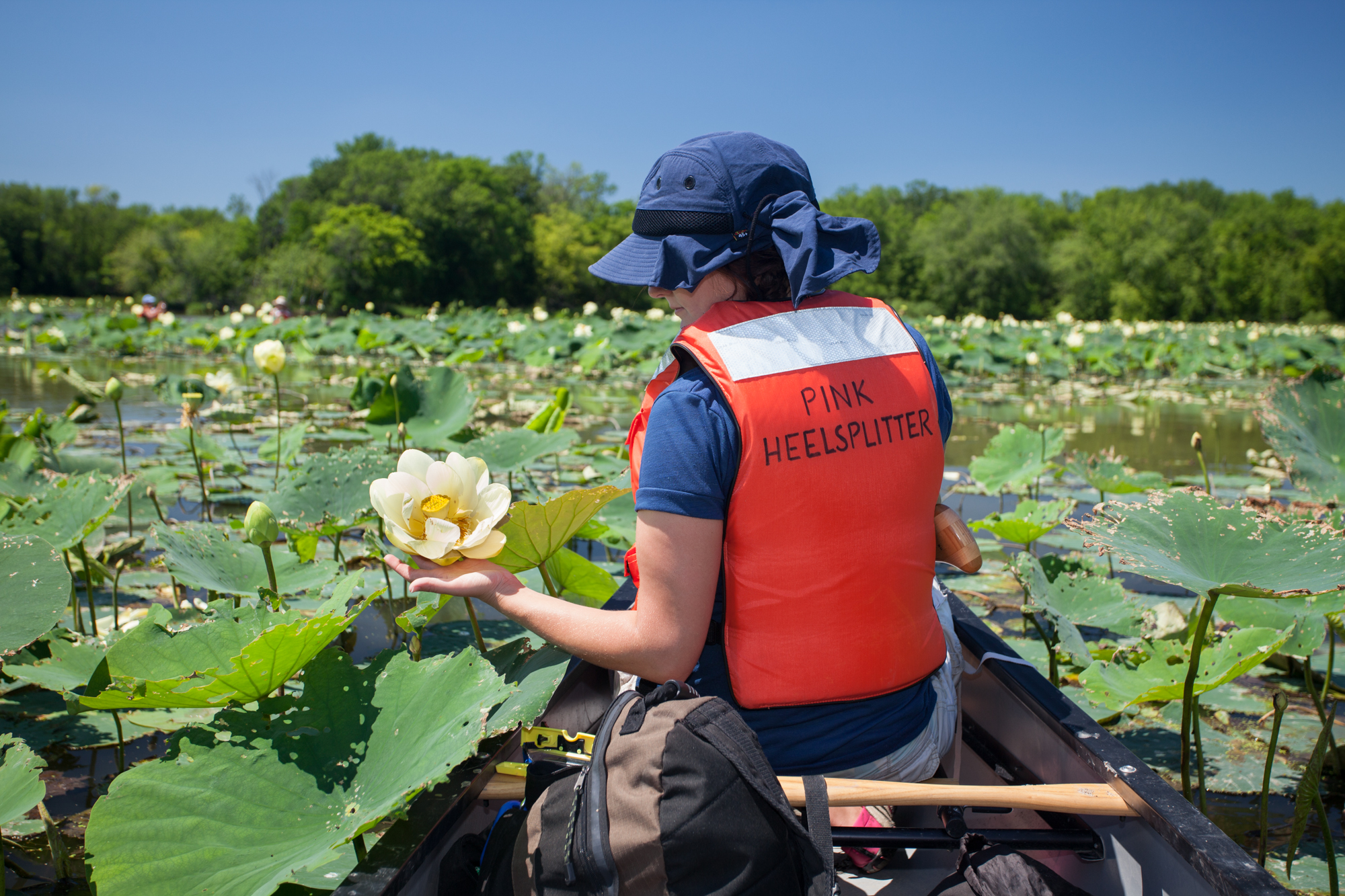 A canoeist reaches out and holds a large, yellow flower.