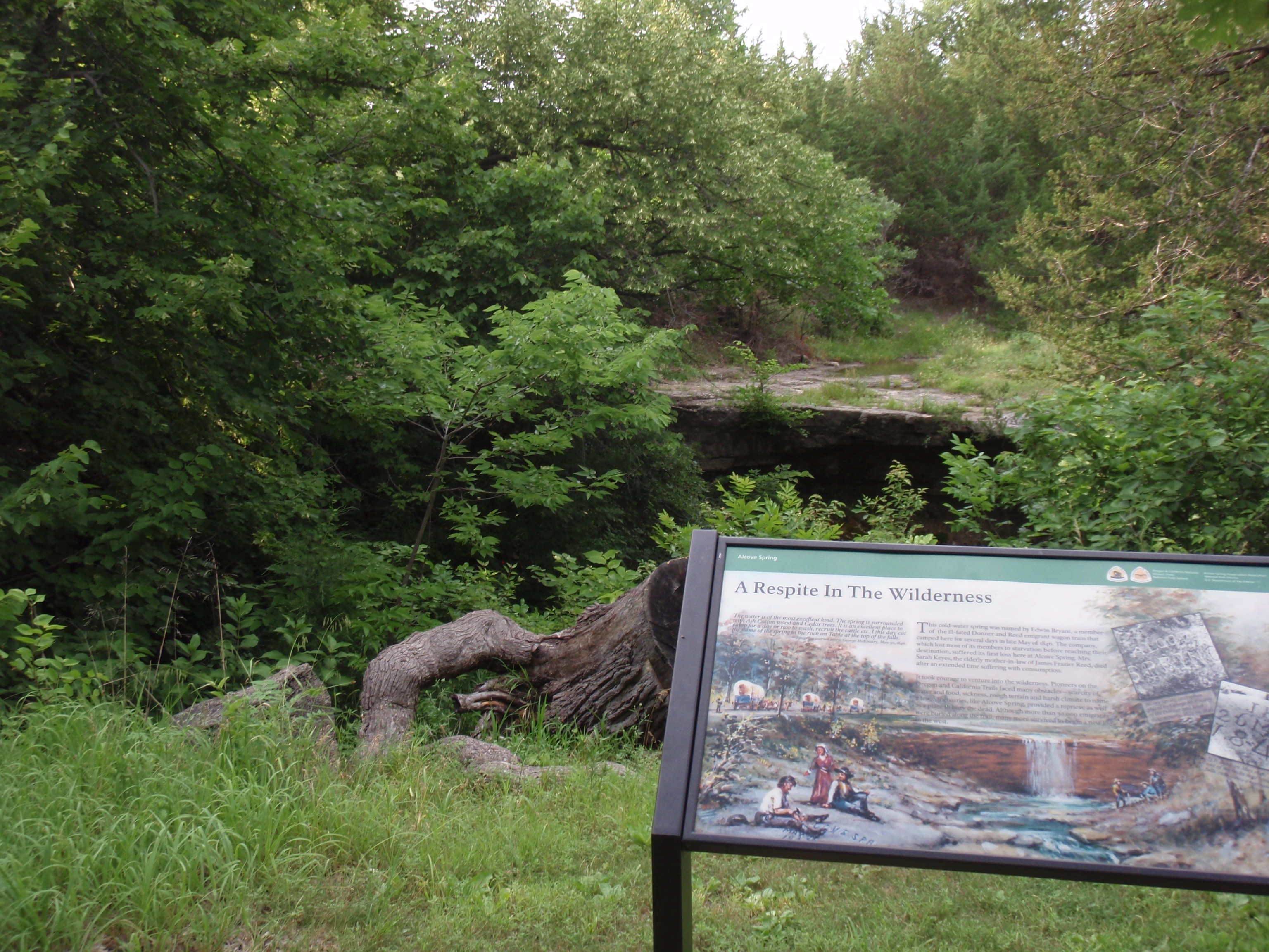 An exhibit with an illustration in front of green trees and a rock ledge.