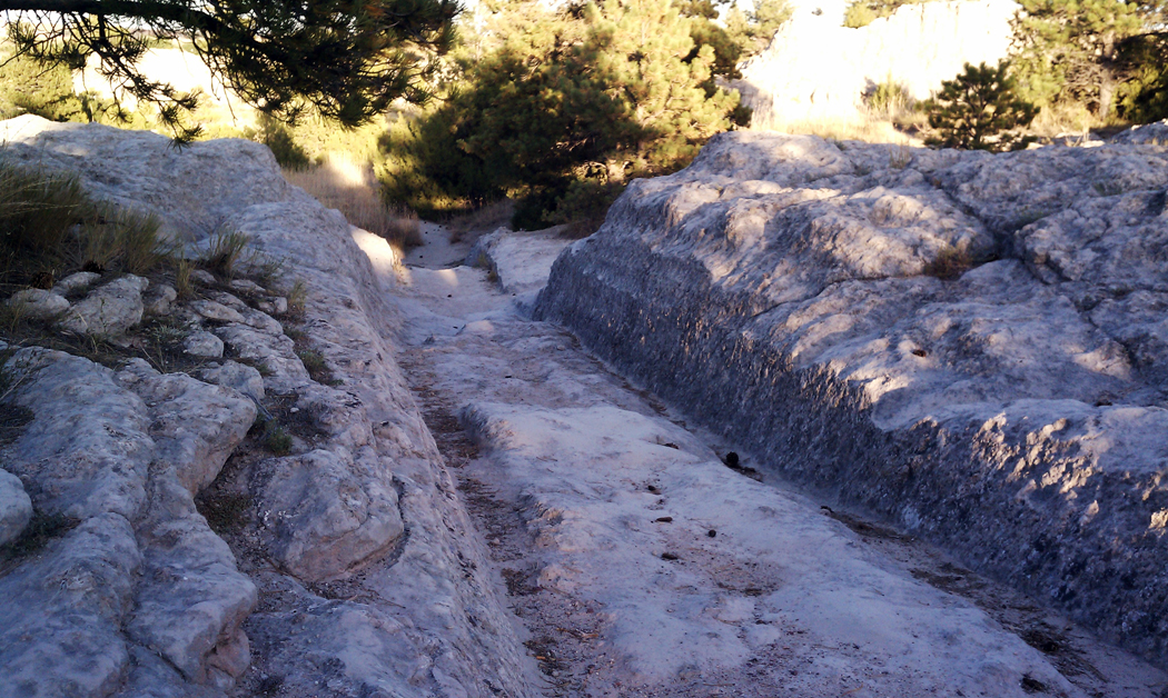 A wagon swale is cut deep into limestone rock with trees in background.