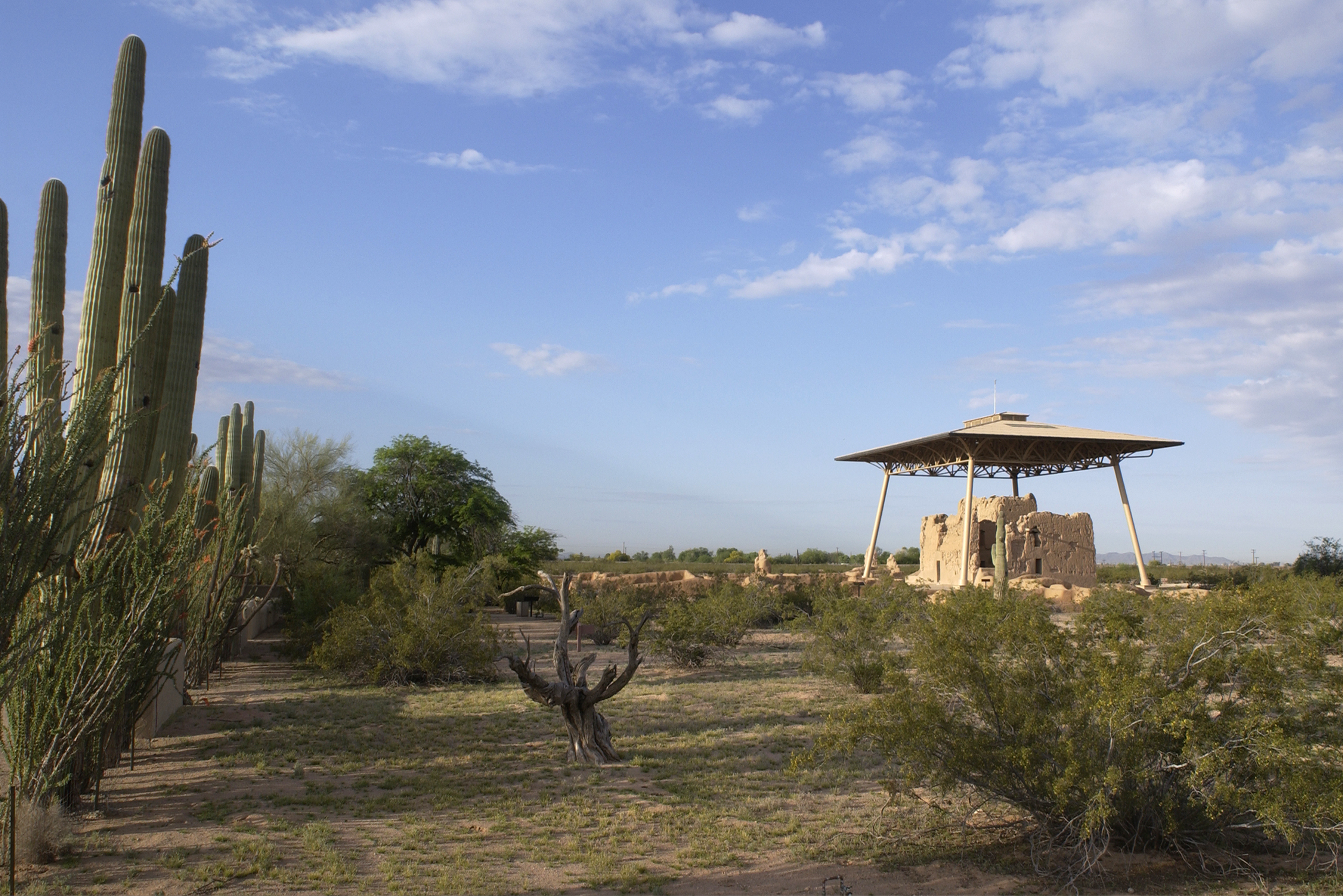 earthern Great House standing out in the Sonoran Desert plants