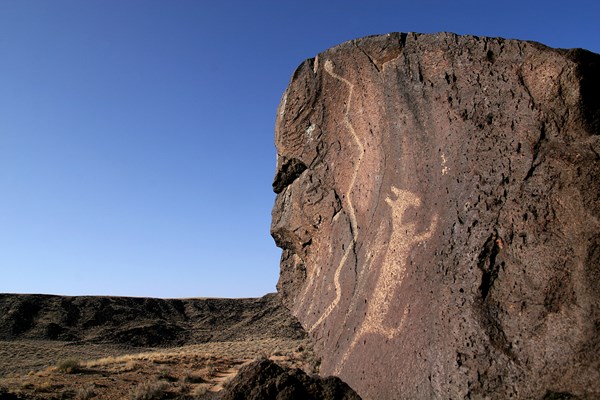 Petroglyph imagery of a coyote and rattlesnake in Rinconada Canyon.