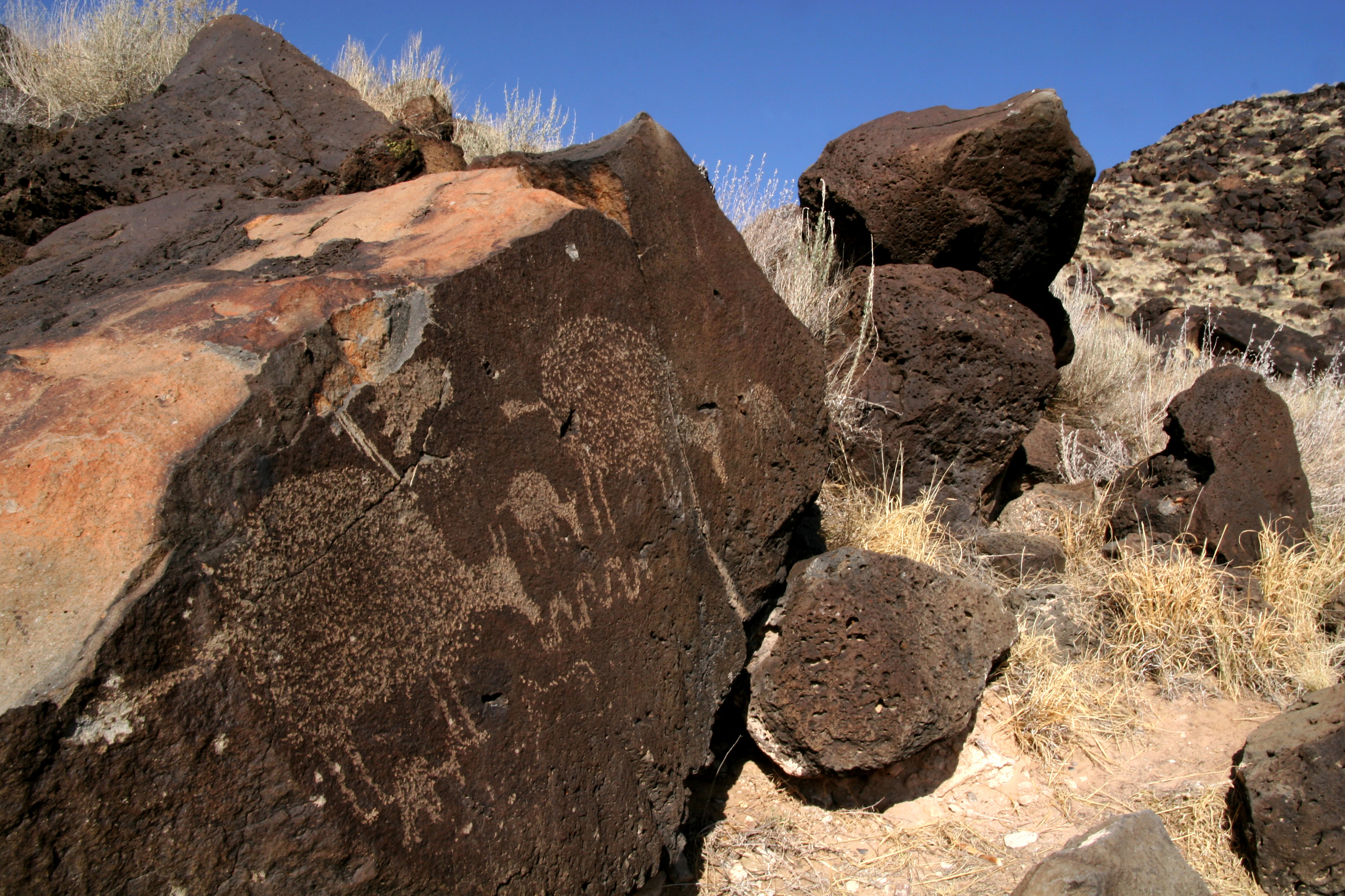 Petroglyph panel of sheep grazing in Rinconada Canyon.