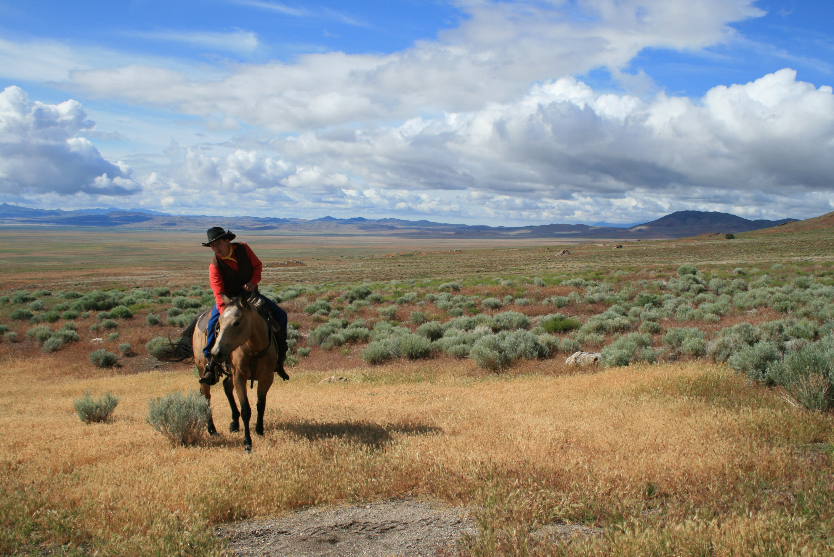 A rider in a red vest on a horse in a grassy patch surrounded by sagebrush with clouds in the sky.