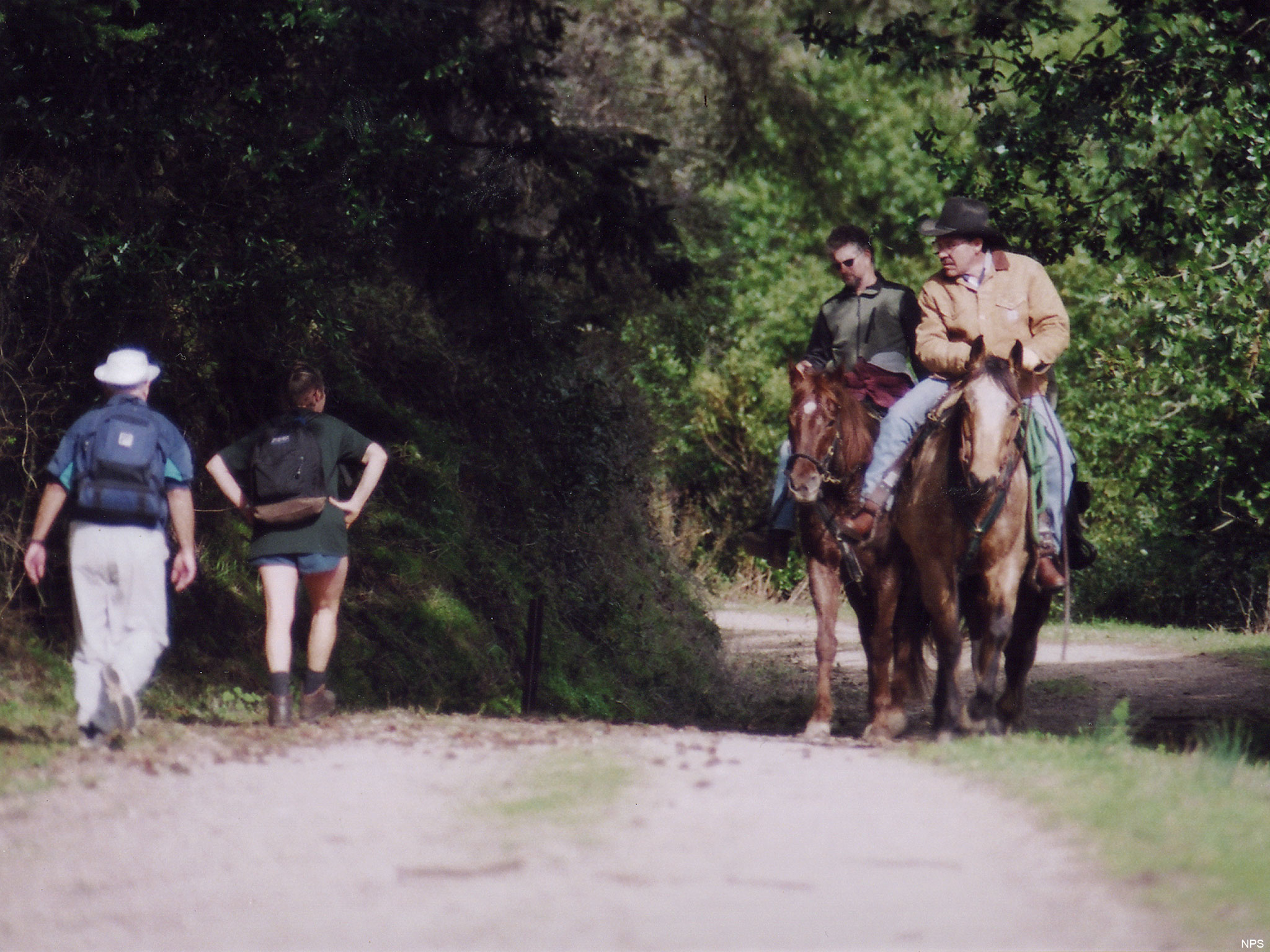 Hikers and horse riders on Bear Valley Trail.