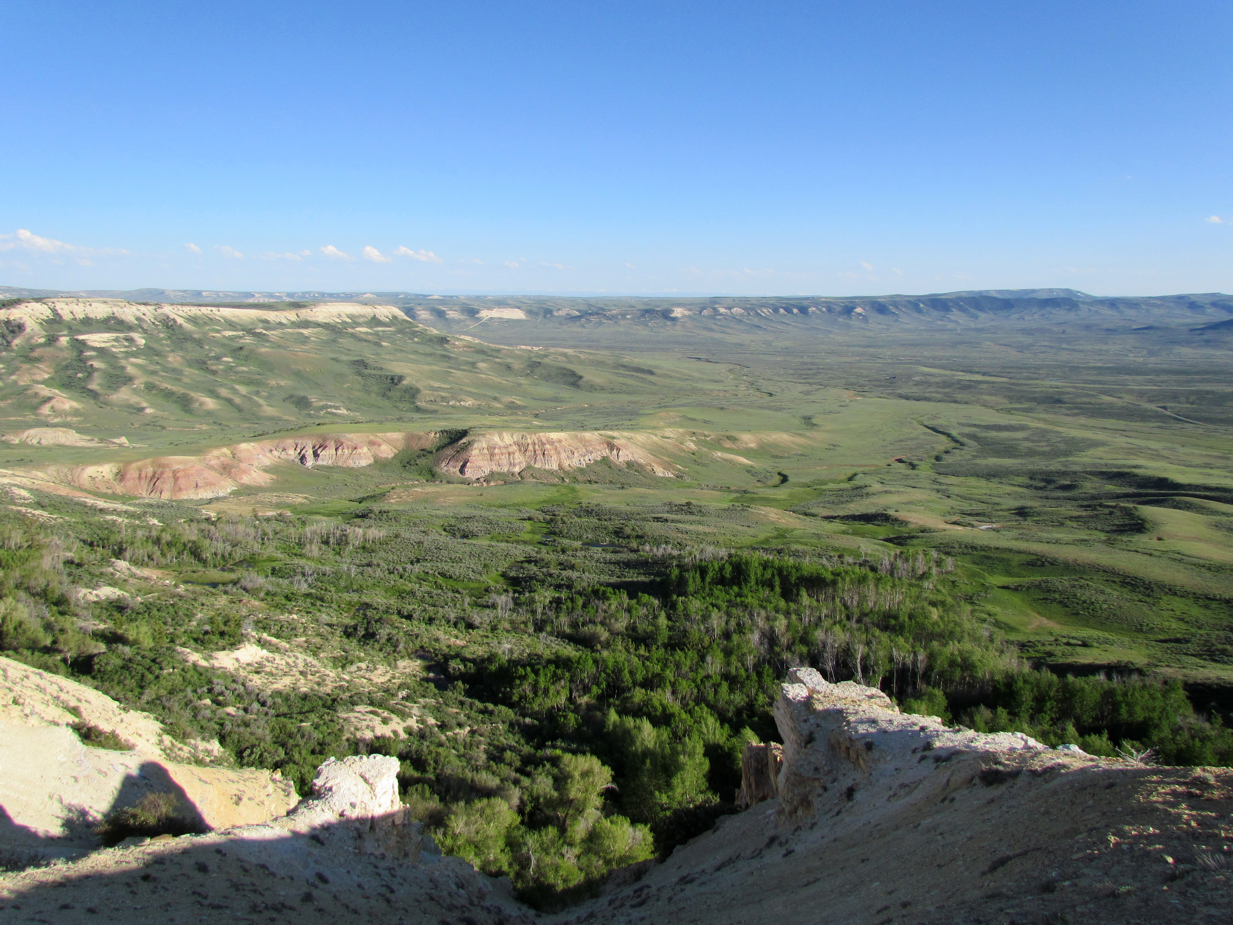 A scenic view of Fossil Basin in early summer; yellow limestone, red mudstones and green vegetation