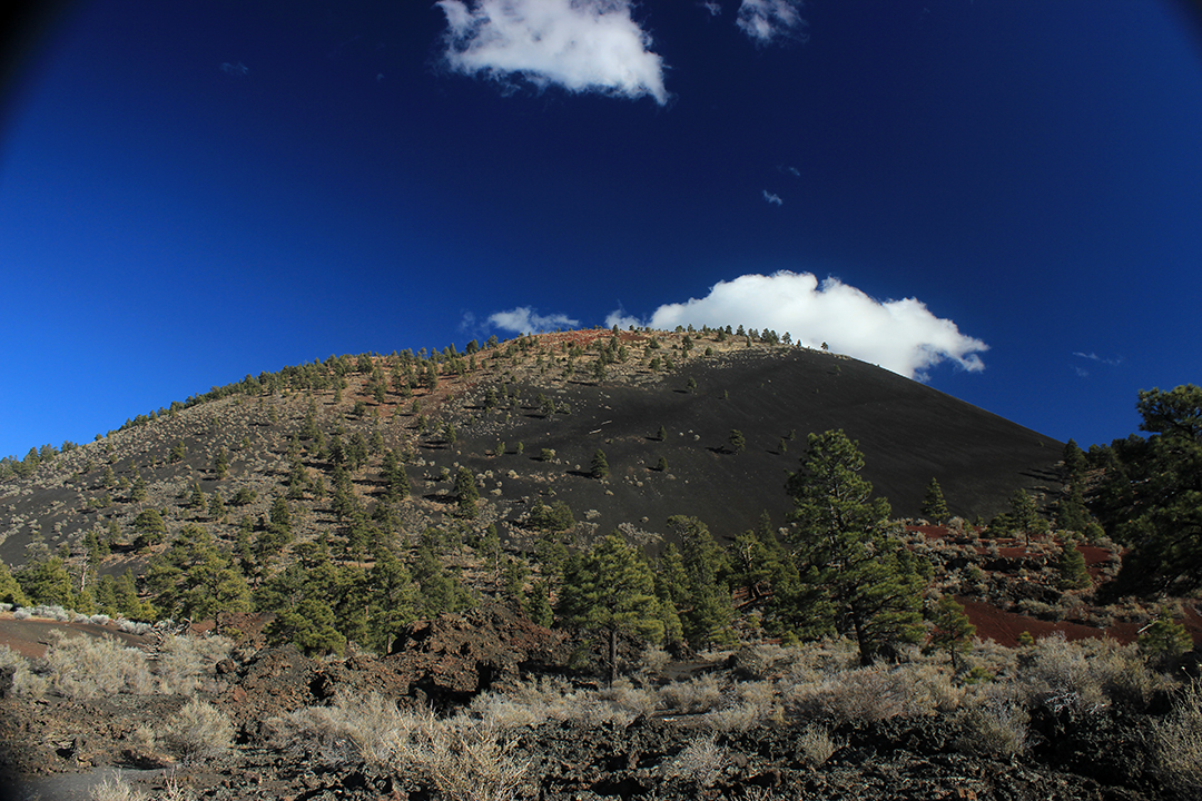 a cinder cone volcano and ponderosa pine trees