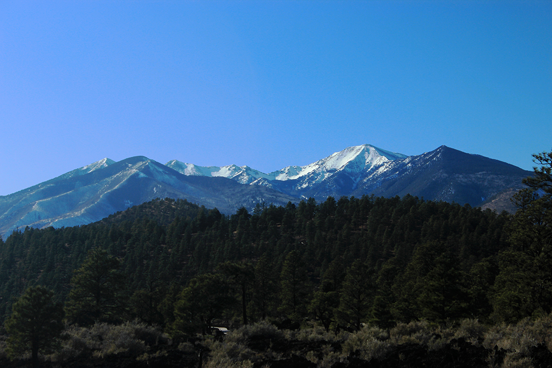 a massive volcano rising behind a smaller, tree-covered volcano in the foreground