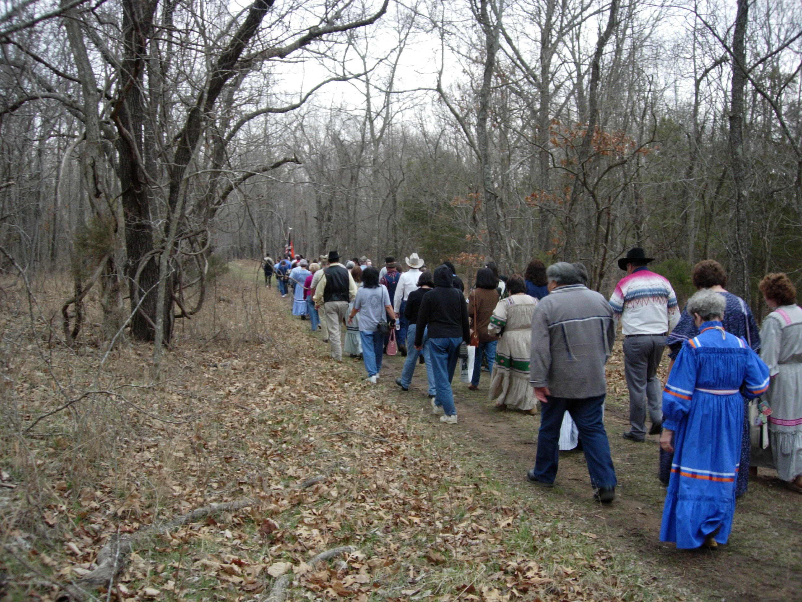 dozens of people walk a section of the Trail of Tears, winter scene, trees with no leaves