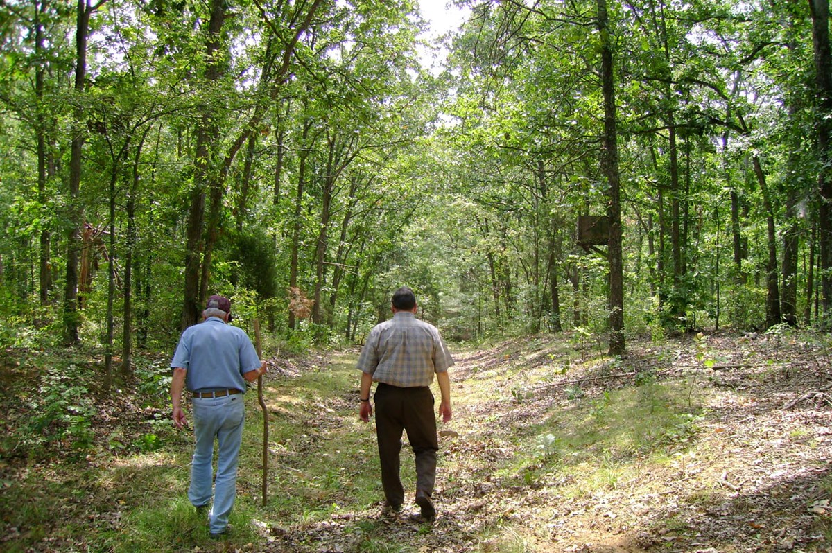Two people walk a remnant of the Trail of Tears. Spring setting with green leafed trees. 