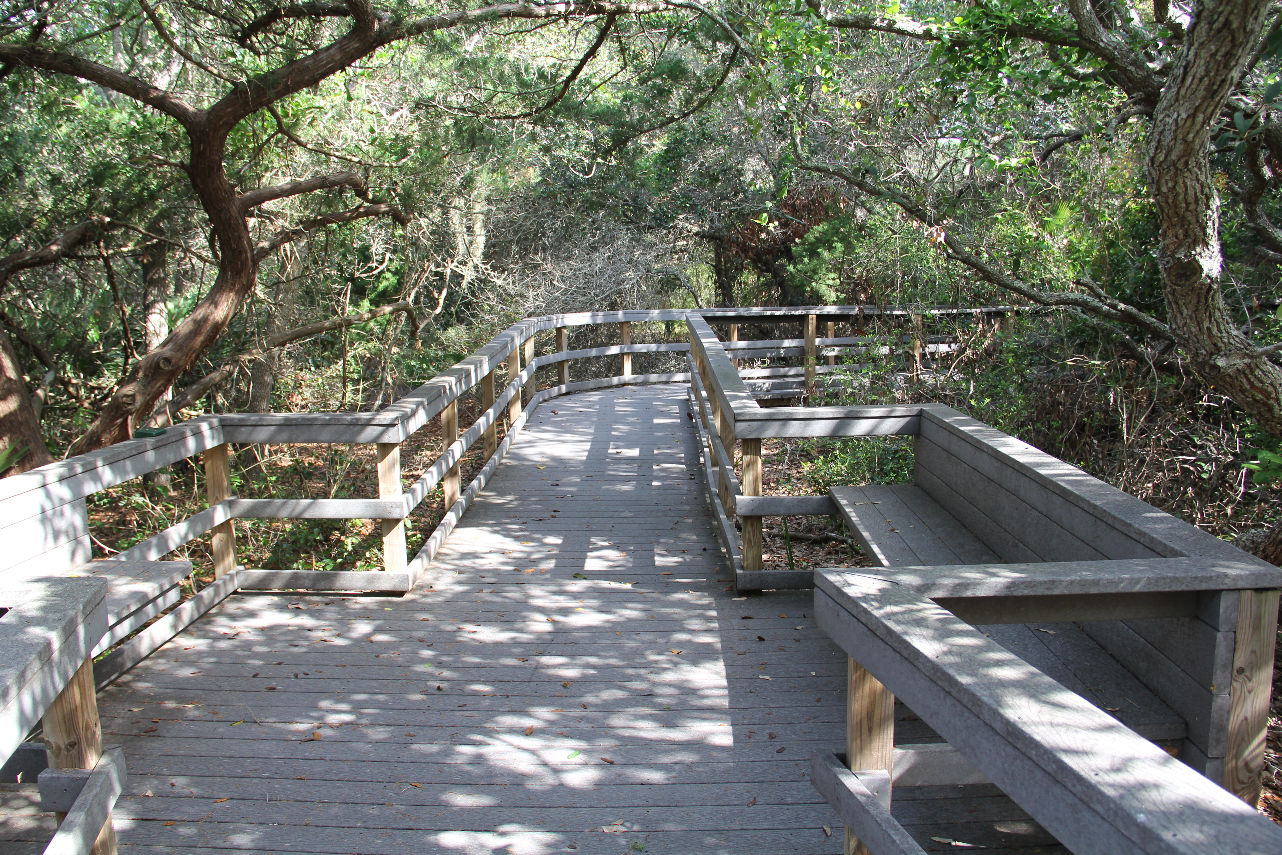 A nature trail boardwalk with seating area.