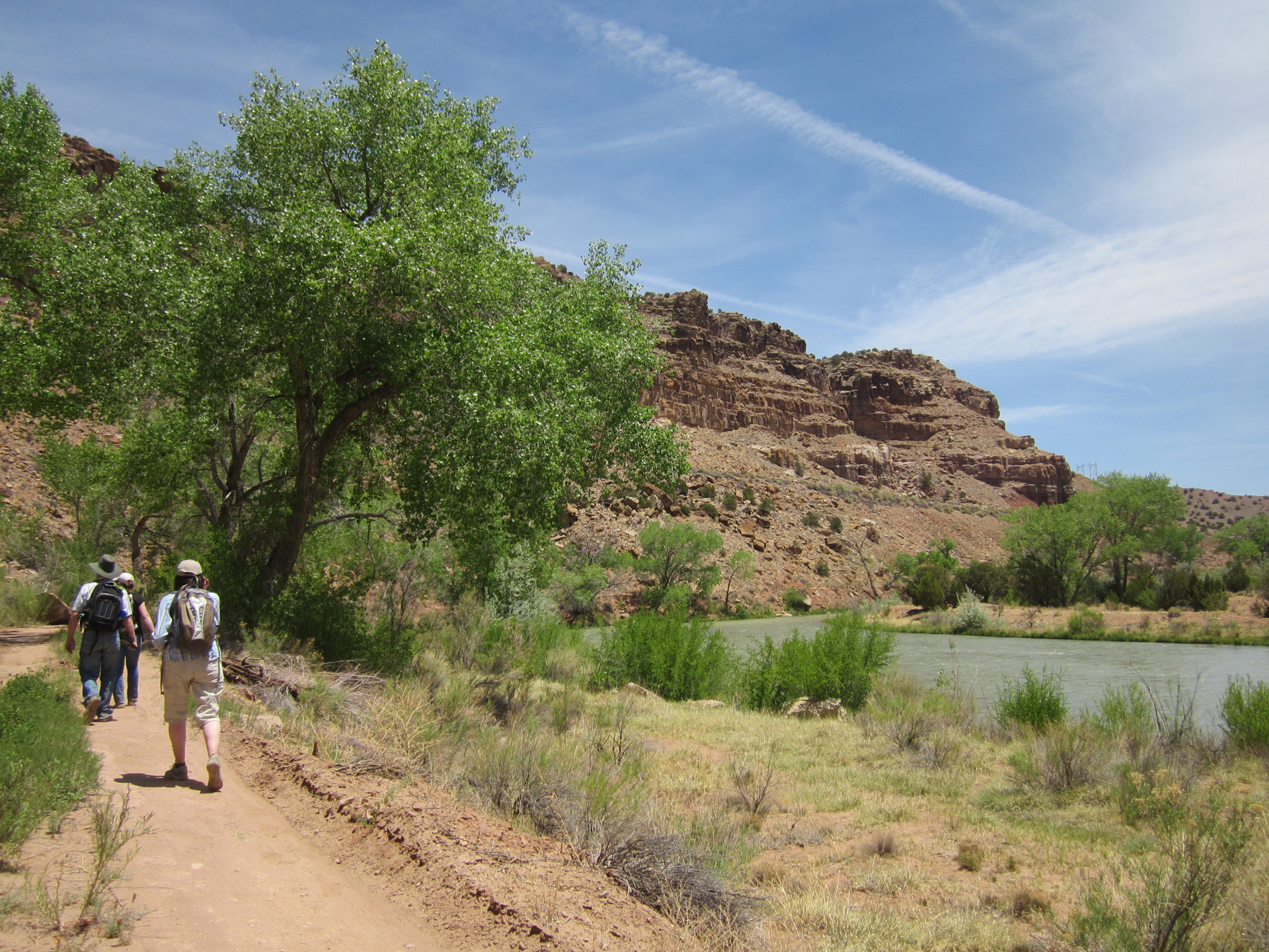 hikers walk beside a river with cottonwoods alongside the river