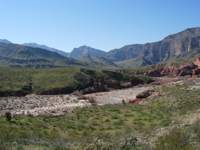 a river carves through the landscape, greenery in the foreground, mountains and redrock backdrop