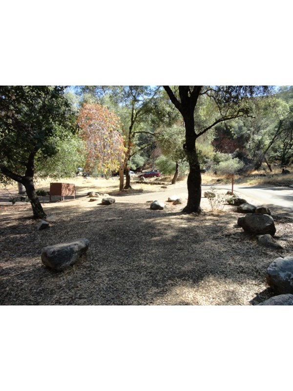 A campground site beneath oak trees
