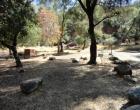 Image of campground site