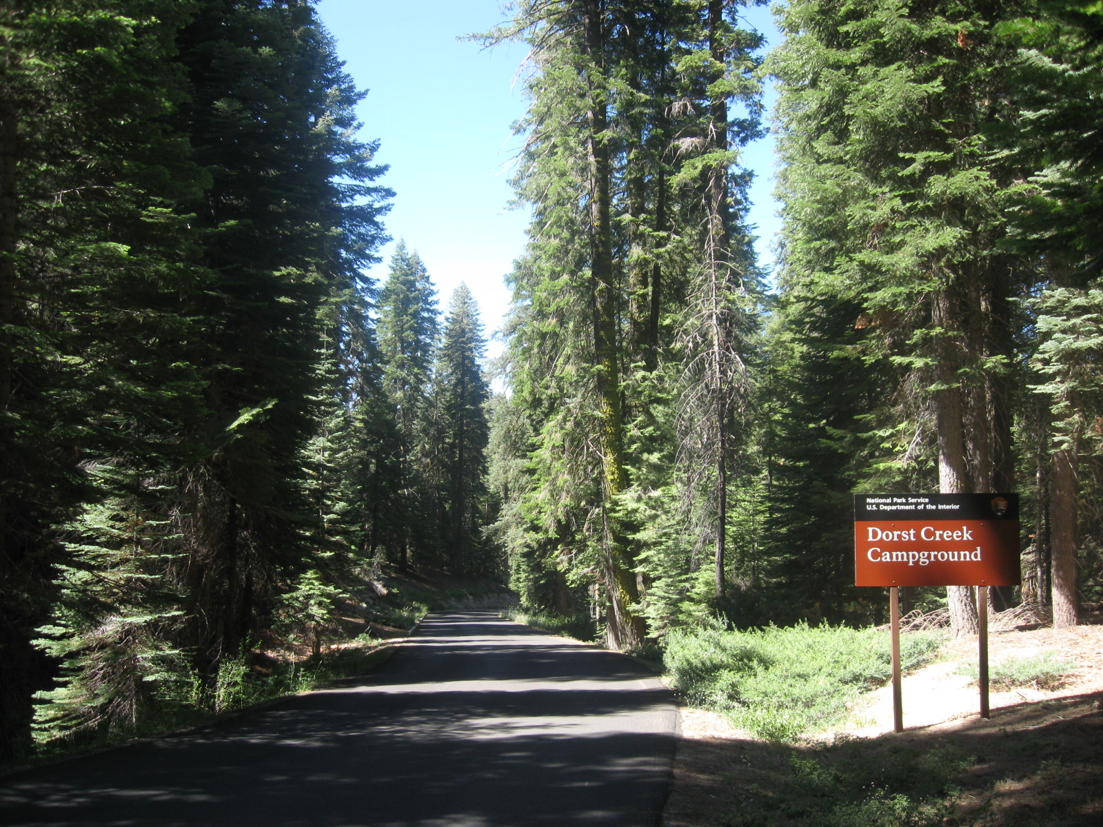 An entrance sign reading "Dorst Creek Campground" beside a road