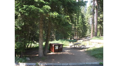 A campsite with a bear box and picnic bench