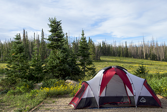 Red tent overlooking green meadow.