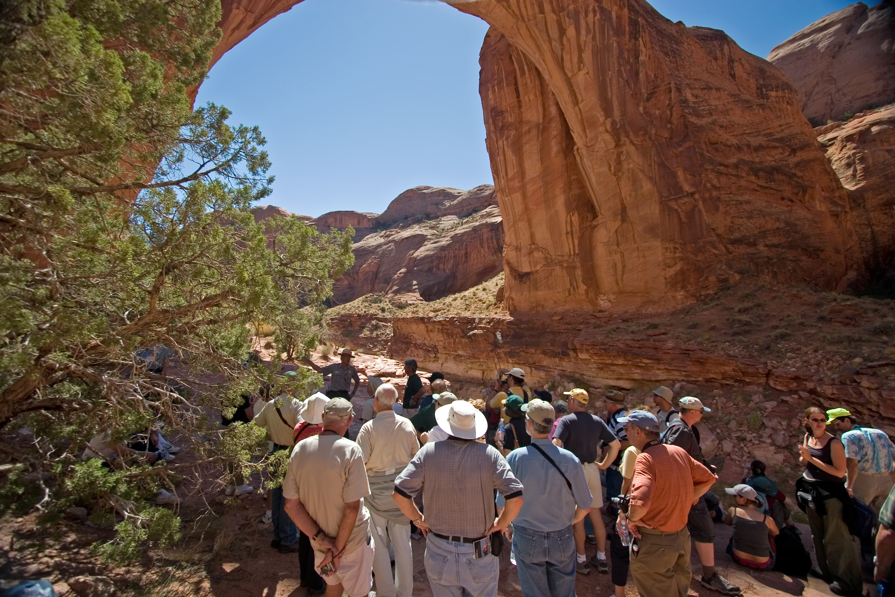 A large crowd faces away from the camera at the scenery.