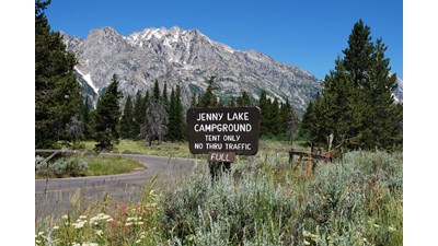 Entrance sign to Jenny Lake Campground with Mt. St. Johns, conifers and wildflowers.