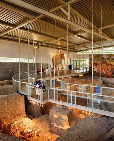 Visitors view fossils from walkway